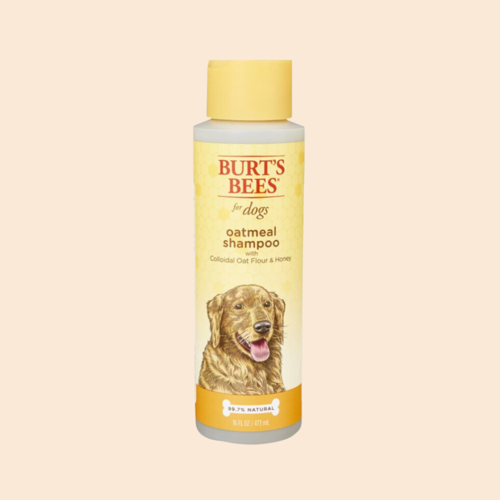 Burt's bees oatmeal shampoo