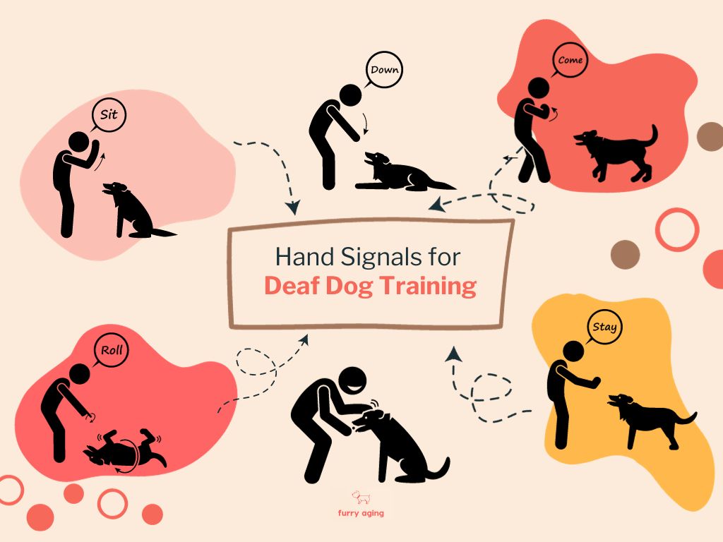 Hand signals for deaf dog training