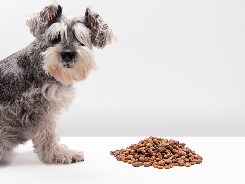 Chickens Eating Dog Food A Look at Risks and Benefits Chickens Eating Dog Food A Look at Risks and Benefits