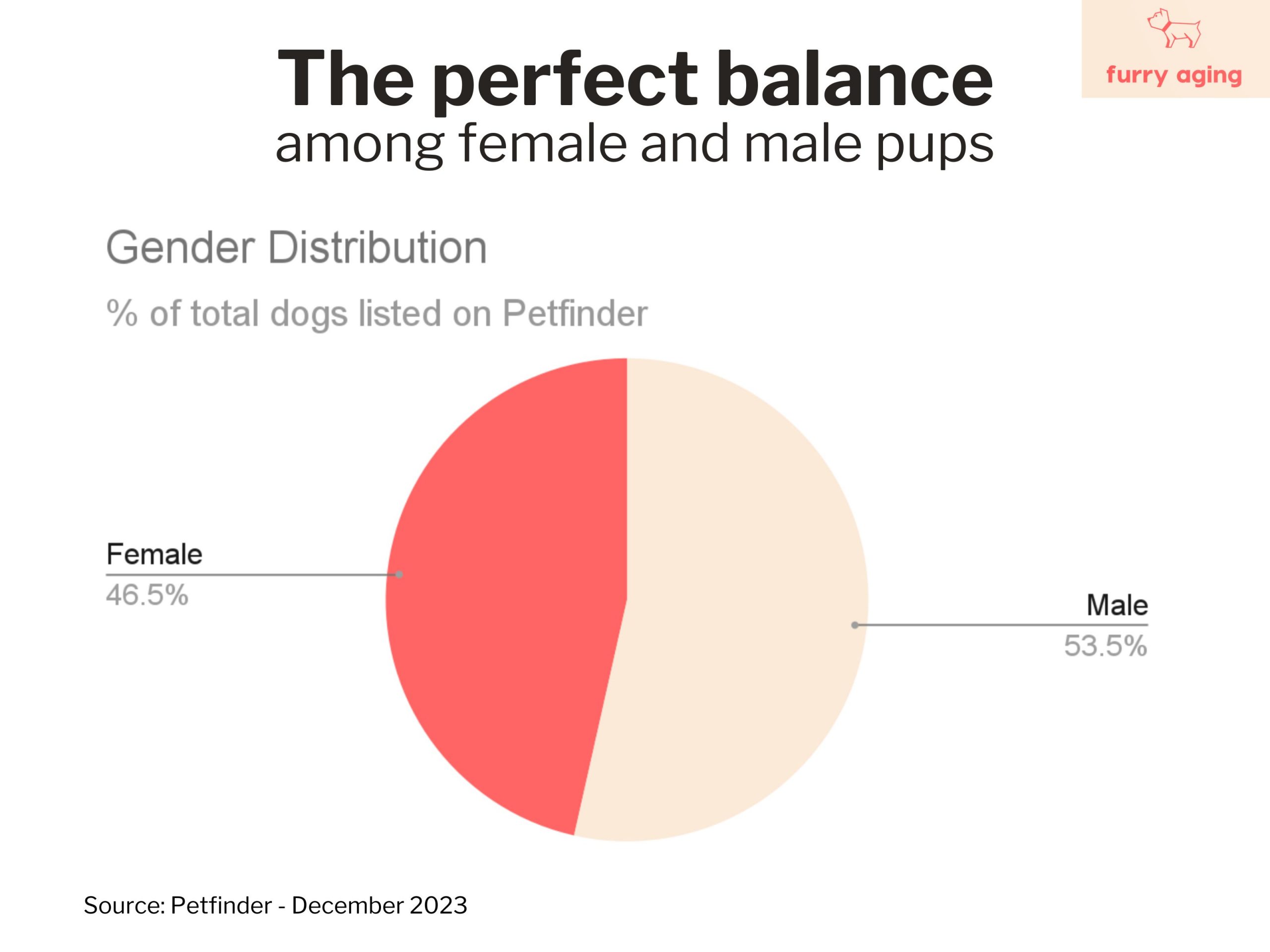 Percentage of female and male dogs