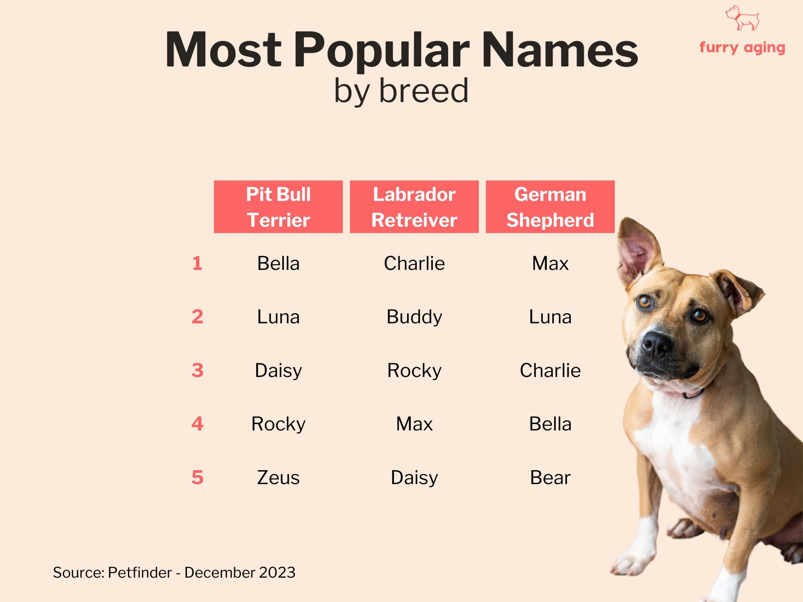 Most popular names by breed