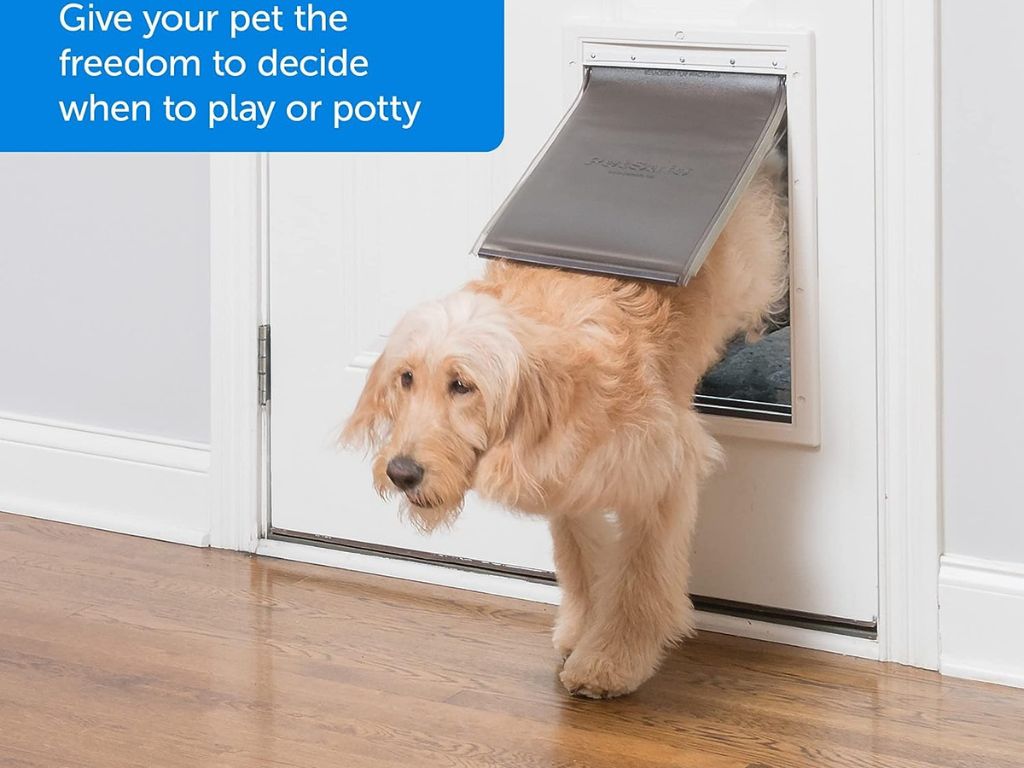 smart pet door