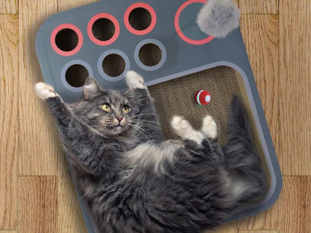 Cheerble— a board game for cats that includes a smart balls