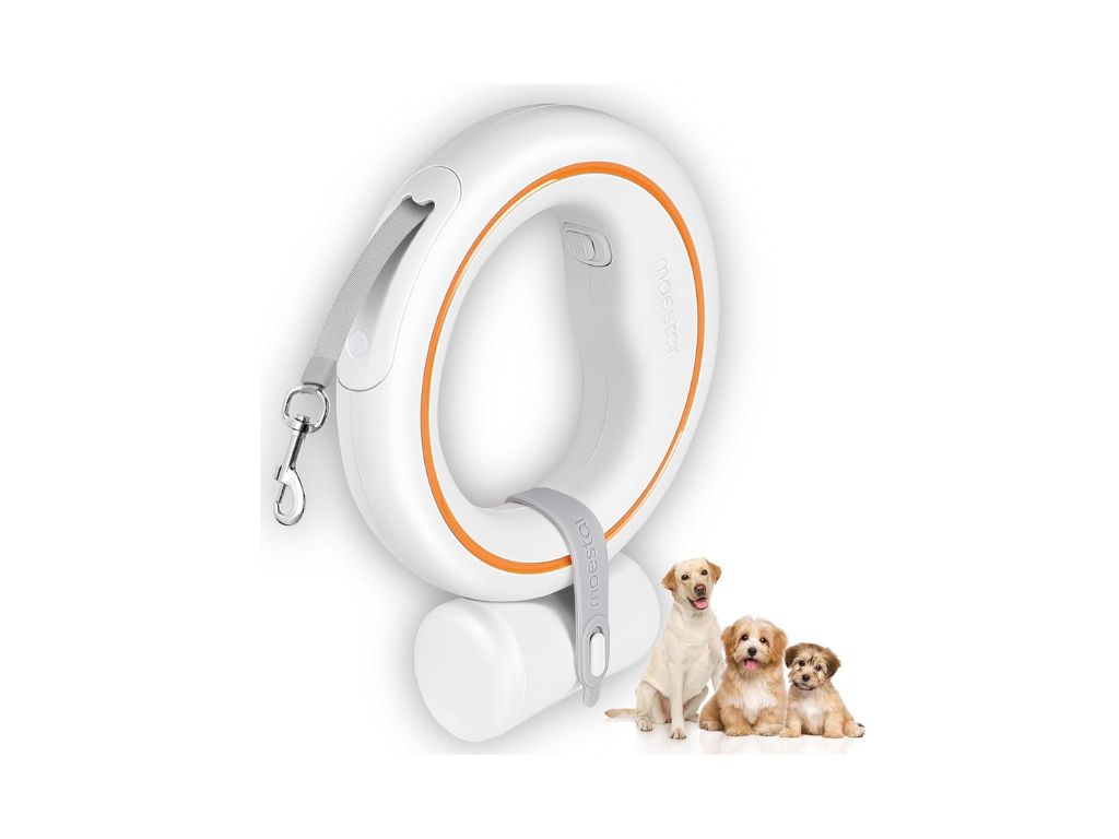 smart leash for dogs