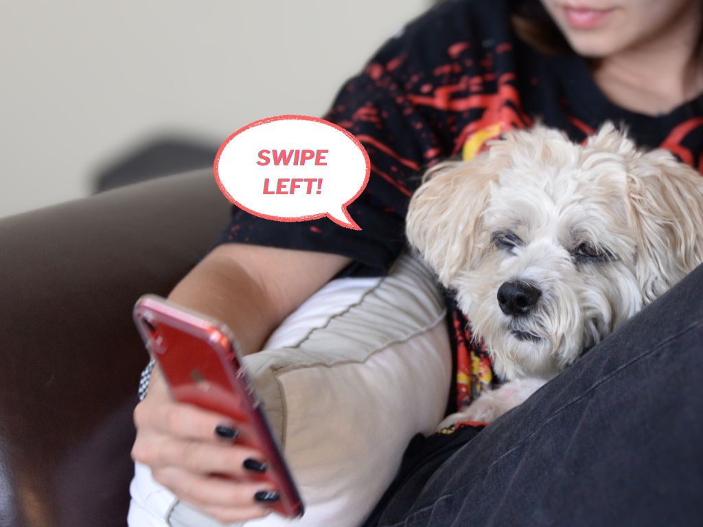our dog, Mickey, looking at a smartphone