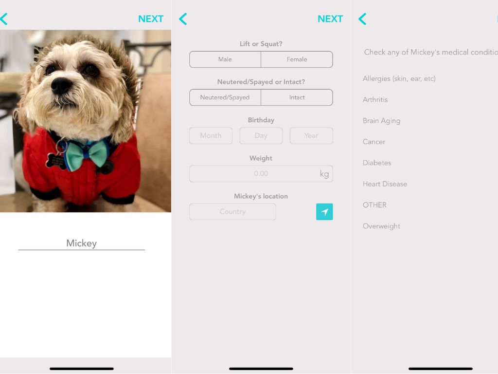 Set up your account and your pet profile