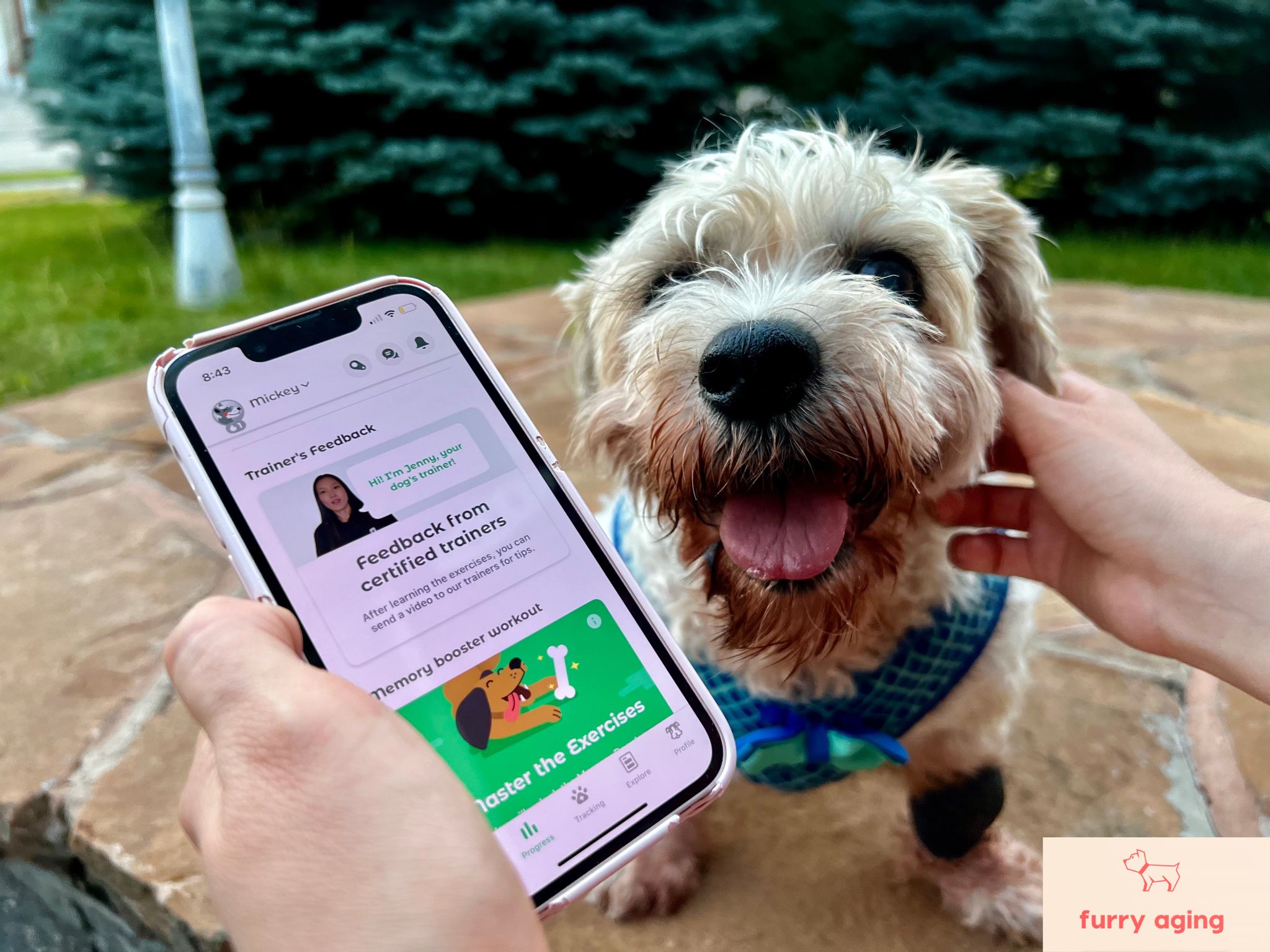 my dog Mickey next to me holding the Dogo App on my phone